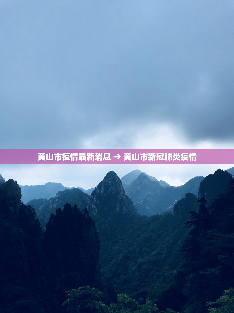 杭州最新疫情最新消息：杭州最新的疫情情况