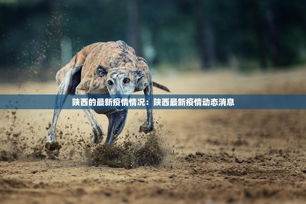 教程辅助“德扑之星开挂透视视频”(透视挂)辅助透视教程