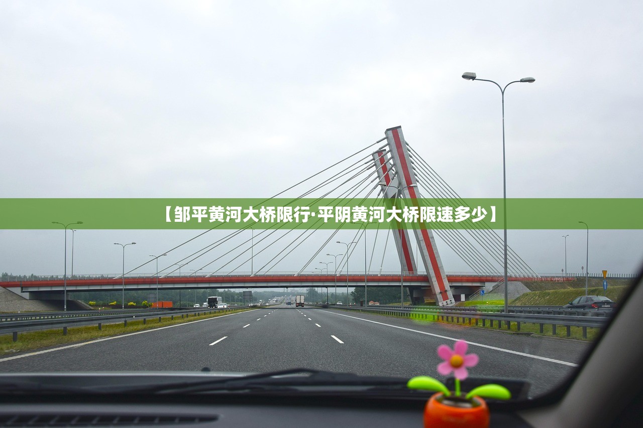 【邹平黄河大桥限行·平阴黄河大桥限速多少】