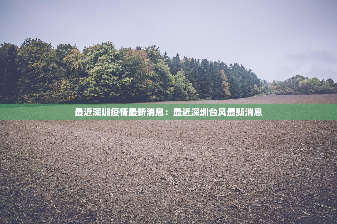 最近深圳疫情最新消息：最近深圳台风最新消息