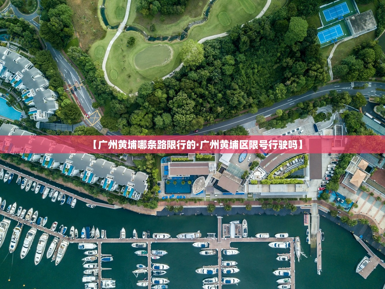 31省新增确诊15例 → 31省新增确诊19例 31省新增确诊15例 → 31省新增确诊19例