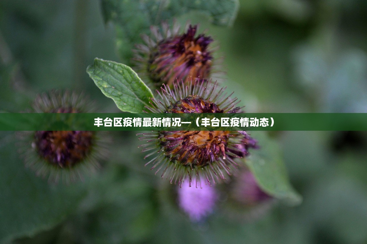 丰台区疫情最新情况—(丰台区疫情动态) 丰台区疫情最新情况—(丰台区疫情动态)