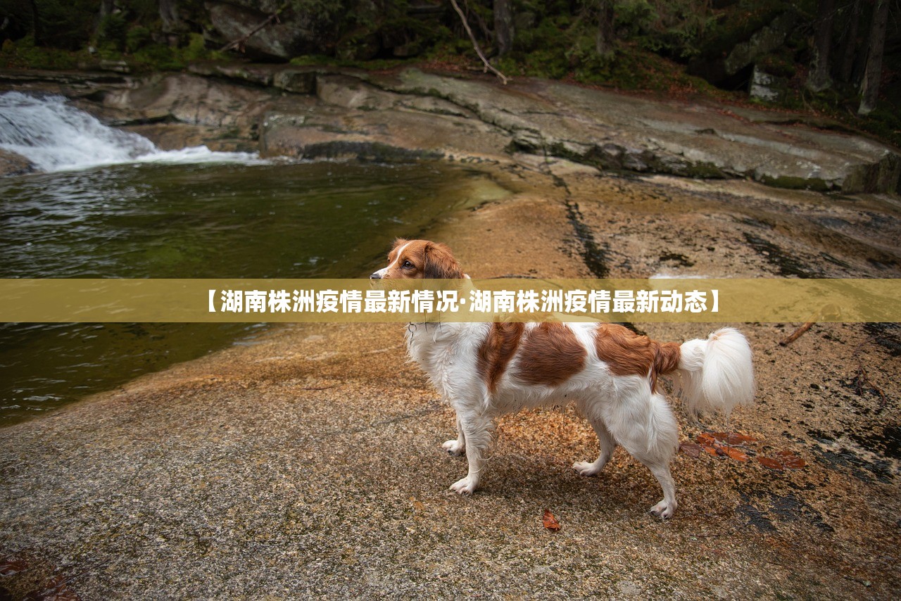 【湖南株洲疫情最新情况·湖南株洲疫情最新动态】 【湖南株洲疫情最新情况·湖南株洲疫情最新动态】