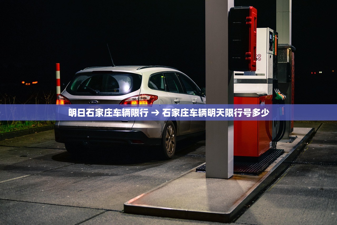 辅助神器“微乐龙江麻将万能开挂器”(透视挂)辅助透视教程
