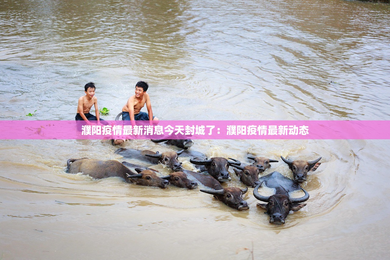 濮阳疫情最新消息今天封城了：濮阳疫情最新动态