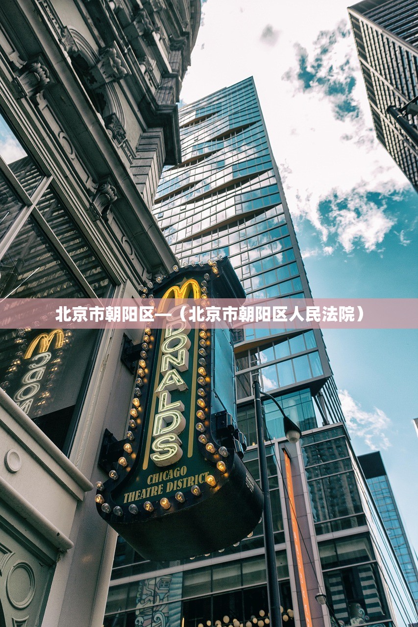 北京市朝阳区—(北京市朝阳区人民法院) 北京市朝阳区—(北京市朝阳区人民法院)