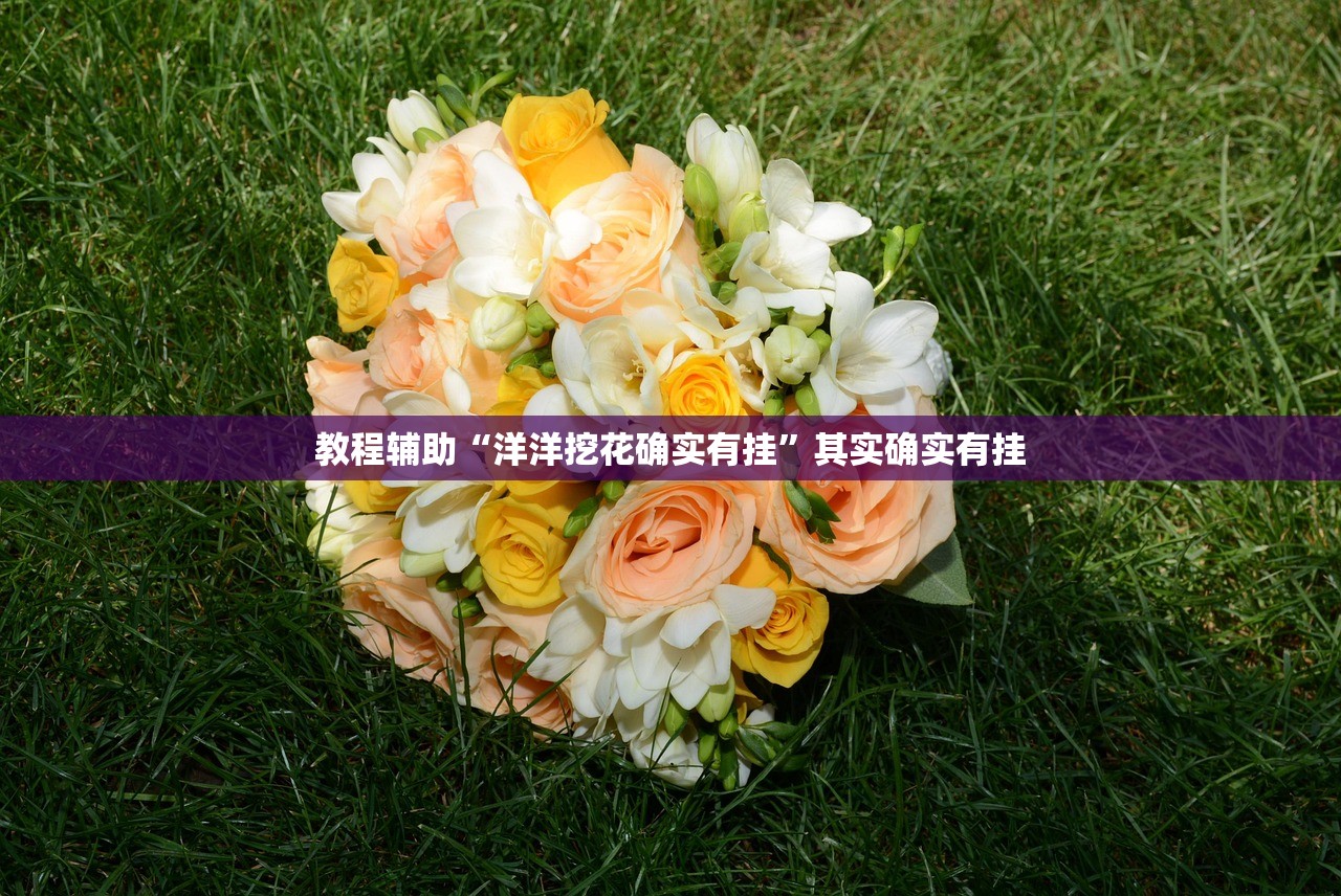 教程辅助“洋洋挖花确实有挂	”其实确实有挂