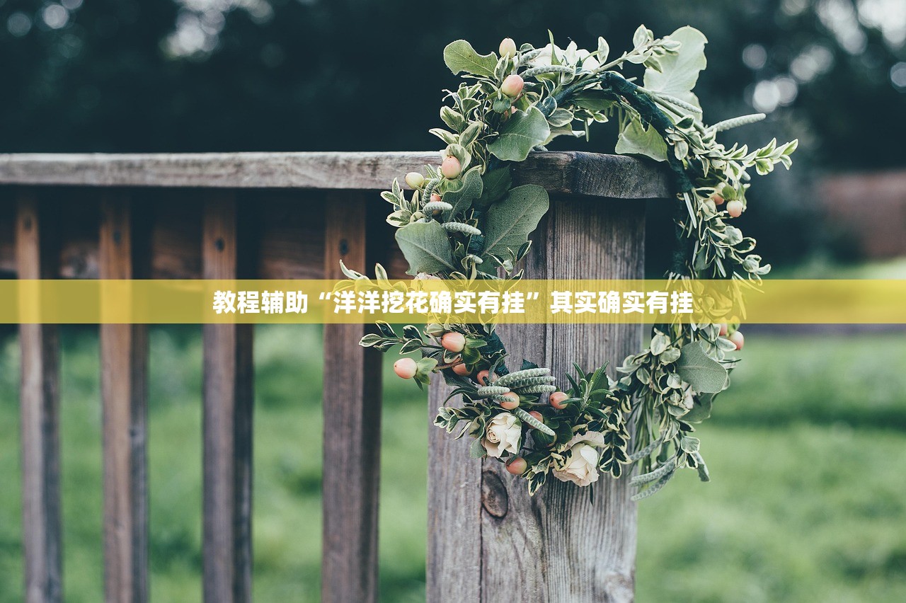 教程辅助“洋洋挖花确实有挂”其实确实有挂