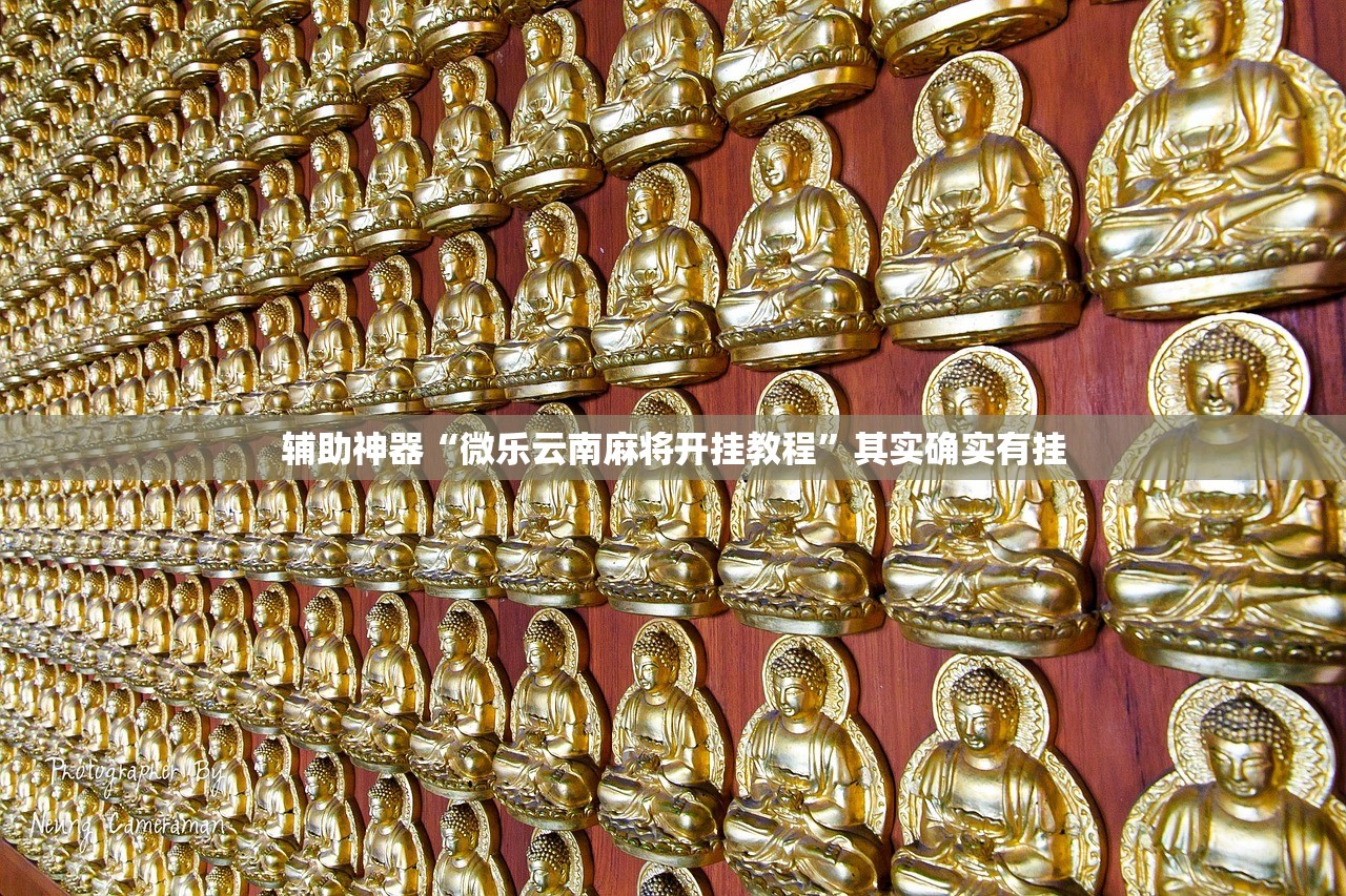 辅助神器“微乐云南麻将开挂教程”其实确实有挂