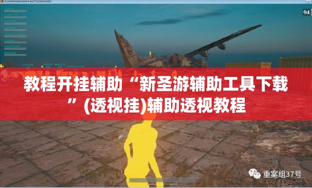 教程开挂辅助“新圣游辅助工具下载”(透视挂)辅助透视教程