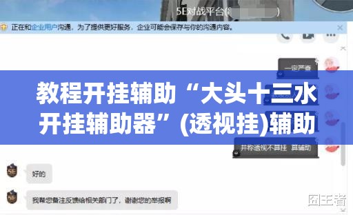 教程开挂辅助“大头十三水开挂辅助器	”(透视挂)辅助透视教程