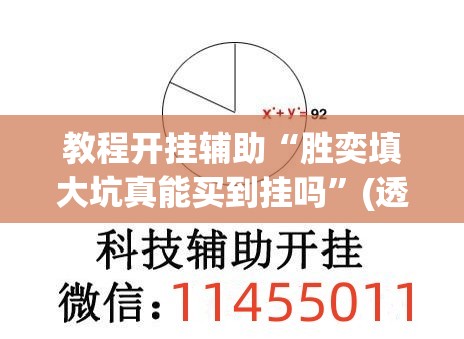 教程开挂辅助“胜奕填大坑真能买到挂吗”(透视挂)辅助透视教程