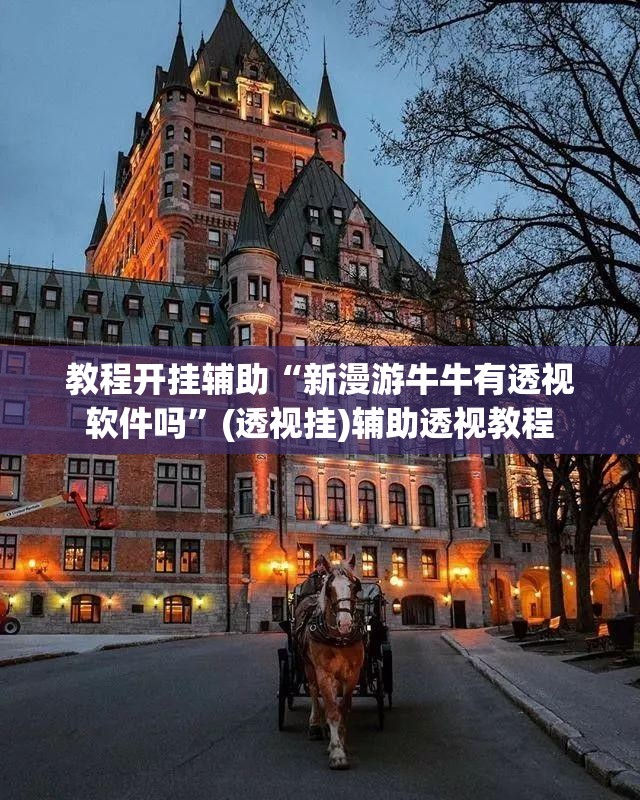 教程开挂辅助“新漫游牛牛有透视软件吗	”(透视挂)辅助透视教程