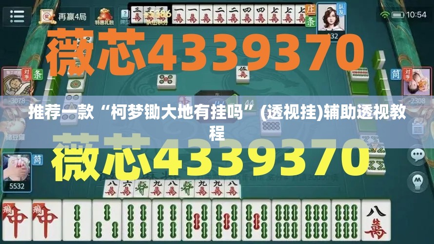 推荐一款“金戈铁马哪里能买到真的挂”(透视挂)辅助透视教程