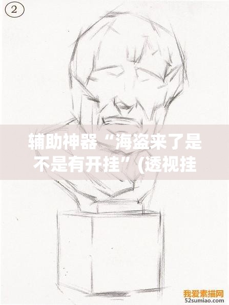 辅助神器“海盗来了是不是有开挂”(透视挂)辅助透视教程