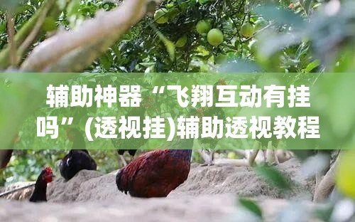 辅助神器“飞翔互动有挂吗”(透视挂)辅助透视教程