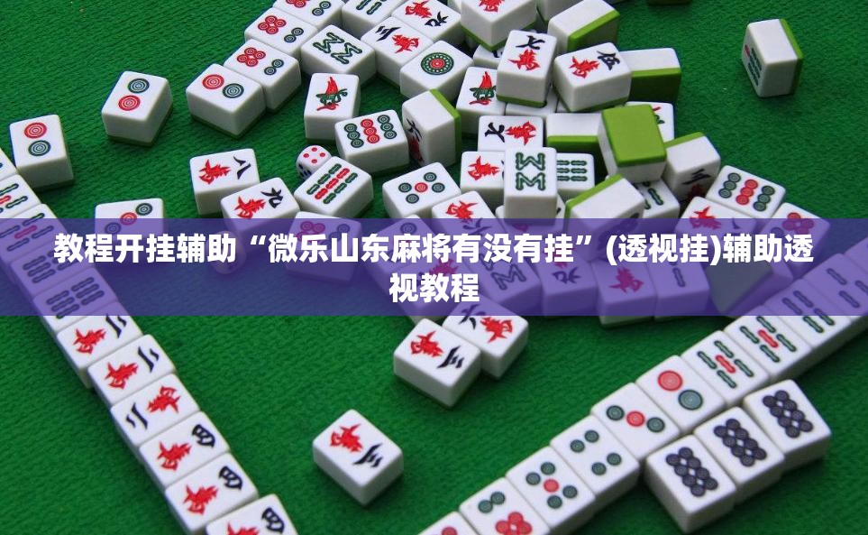 教程开挂辅助“微乐山东麻将有没有挂”(透视挂)辅助透视教程
