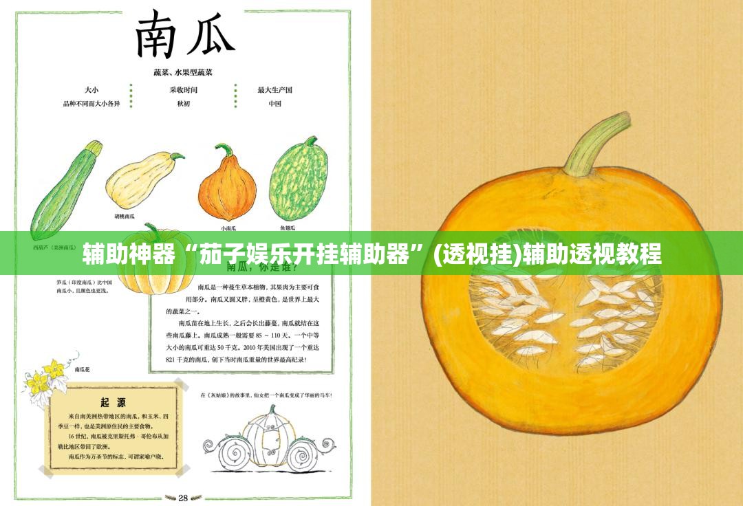 推荐一款“微乐安徽麻将开挂教程”(透视挂)辅助透视教程
