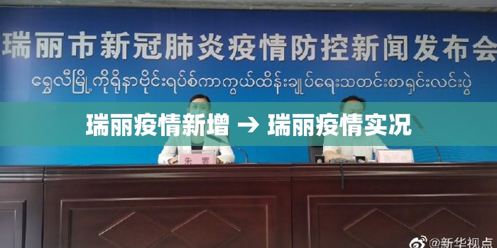 瑞丽疫情新增 → 瑞丽疫情实况