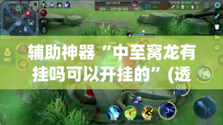 辅助神器“中至窝龙有挂吗可以开挂的”(透视挂)辅助透视教程