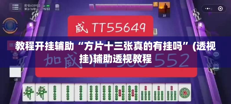 教程开挂辅助“方片十三张真的有挂吗”(透视挂)辅助透视教程