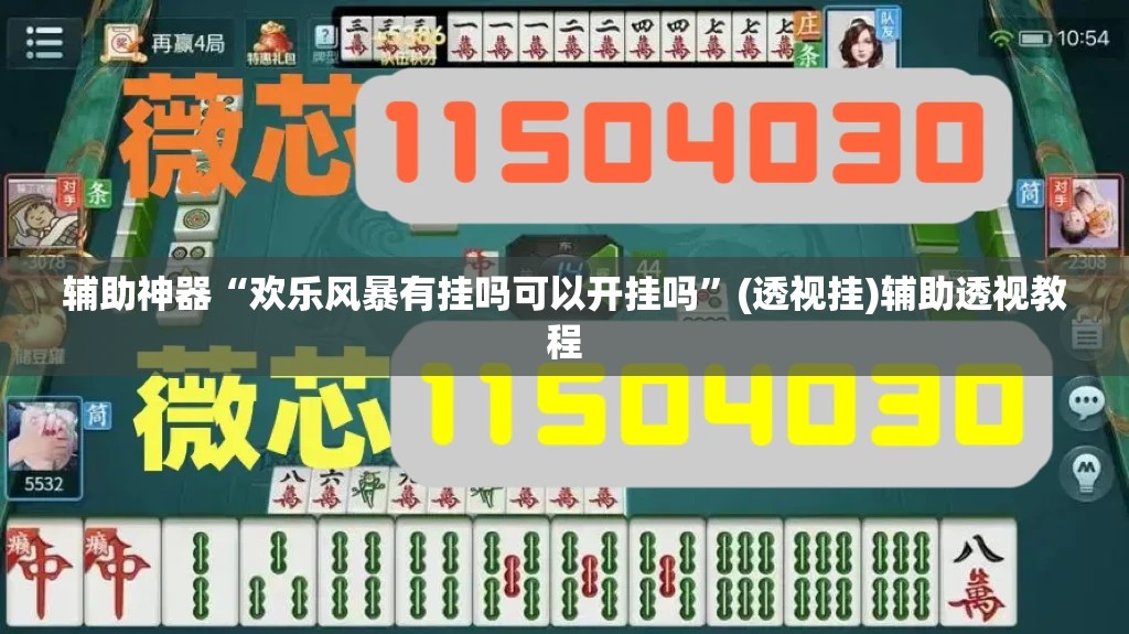 辅助神器“微乐云南麻将开挂教程”(透视挂)辅助透视教程