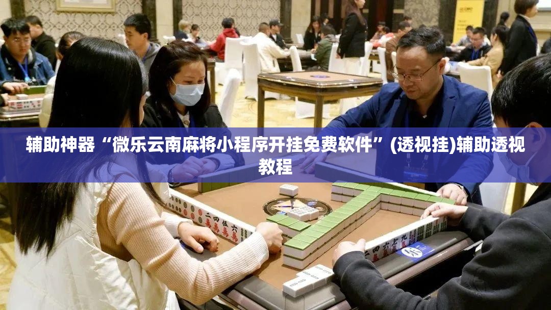 辅助神器“微乐云南麻将小程序开挂免费软件	”(透视挂)辅助透视教程