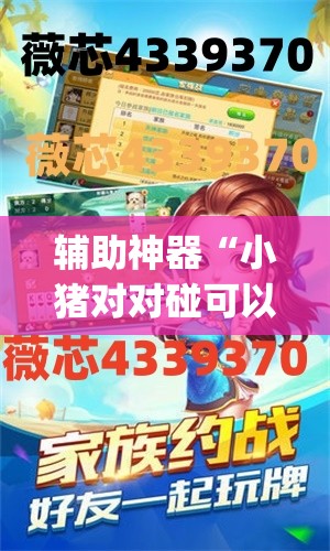 辅助神器“小猪对对碰可以开挂吗”(透视挂)辅助透视教程