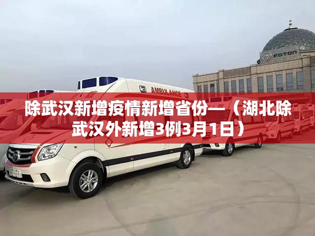 除武汉新增疫情新增省份—（湖北除武汉外新增3例3月1日）
