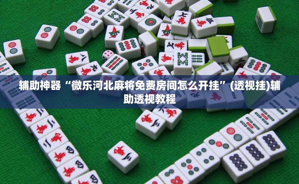 辅助神器“微乐河北麻将免费房间怎么开挂	”(透视挂)辅助透视教程