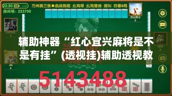 辅助神器“红心宜兴麻将是不是有挂”(透视挂)辅助透视教程