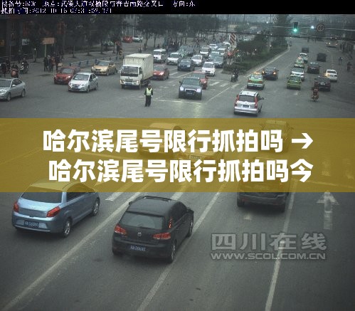 哈尔滨尾号限行抓拍吗 → 哈尔滨尾号限行抓拍吗今天