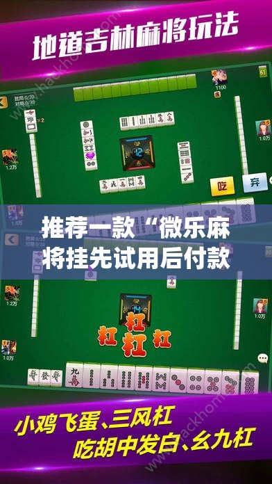推荐一款“微乐麻将挂先试用后付款”(透视挂)辅助透视教程