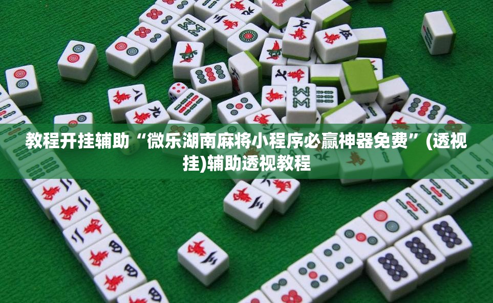 教程开挂辅助“微乐湖南麻将小程序必赢神器免费	”(透视挂)辅助透视教程