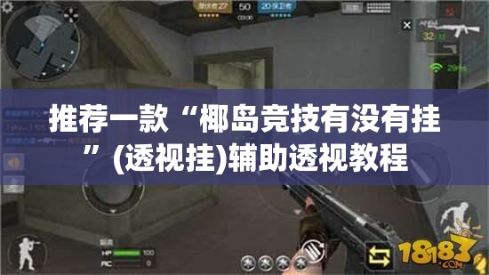 推荐一款“椰岛竞技有没有挂”(透视挂)辅助透视教程