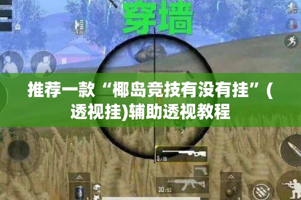 推荐一款“椰岛竞技有没有挂”(透视挂)辅助透视教程