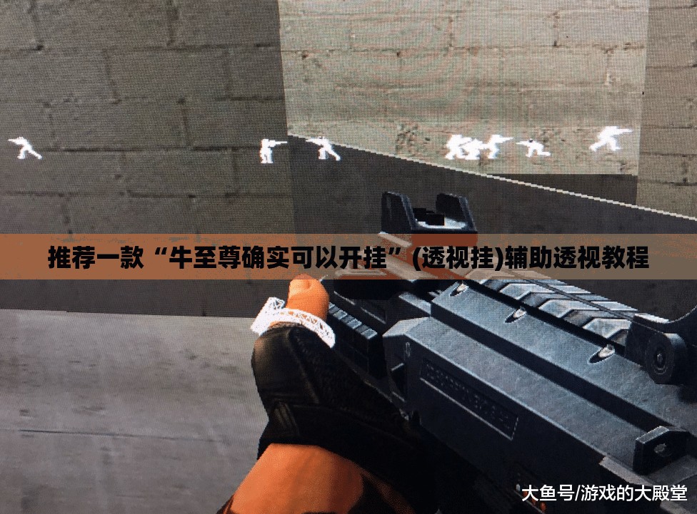 推荐一款“牛至尊确实可以开挂	”(透视挂)辅助透视教程