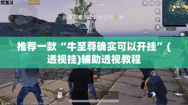 推荐一款“牛至尊确实可以开挂”(透视挂)辅助透视教程