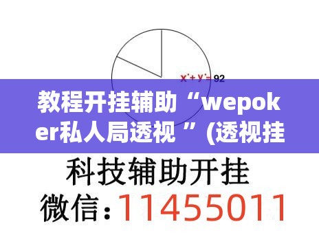教程开挂辅助“wepoker私人局透视 ”(透视挂)辅助透视教程