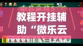 教程开挂辅助“微乐云南麻将到底有挂吗	”(透视挂)辅助透视教程