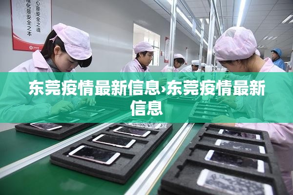 东莞疫情最新信息›东莞疫情最新信息