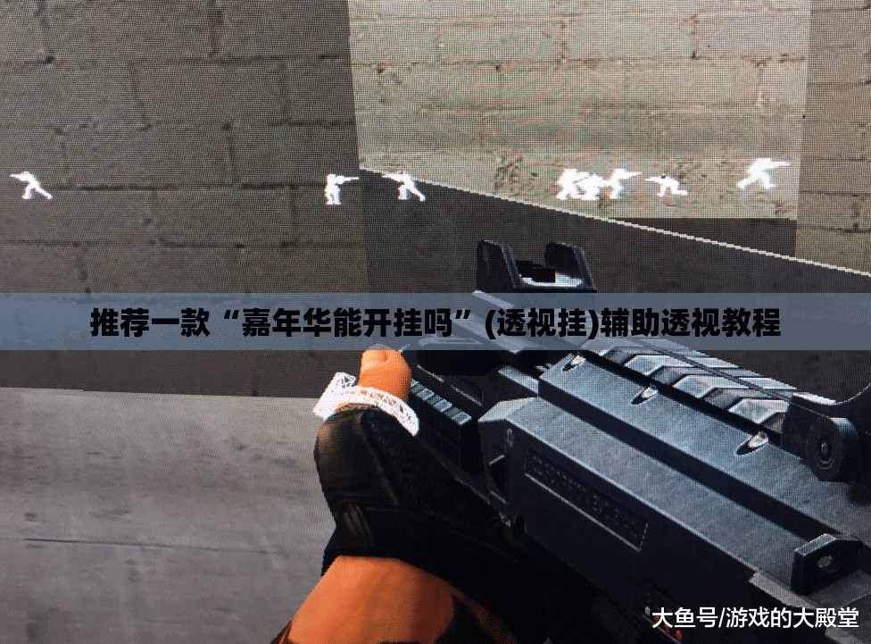推荐一款“嘉年华能开挂吗”(透视挂)辅助透视教程