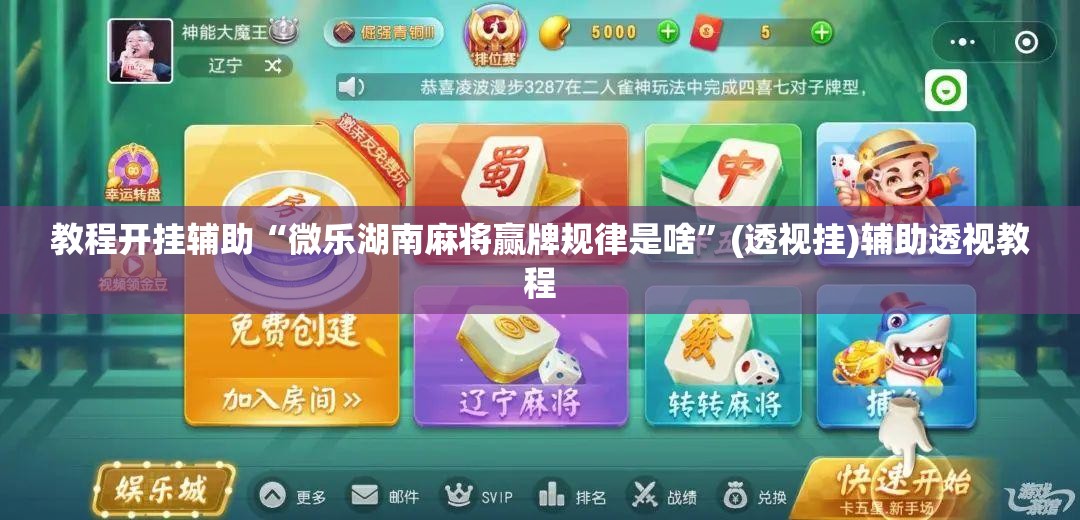 教程开挂辅助“微乐湖南麻将赢牌规律是啥	”(透视挂)辅助透视教程