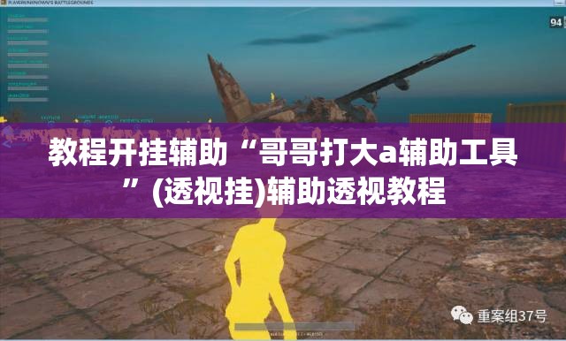 教程开挂辅助“哥哥打大a辅助工具”(透视挂)辅助透视教程
