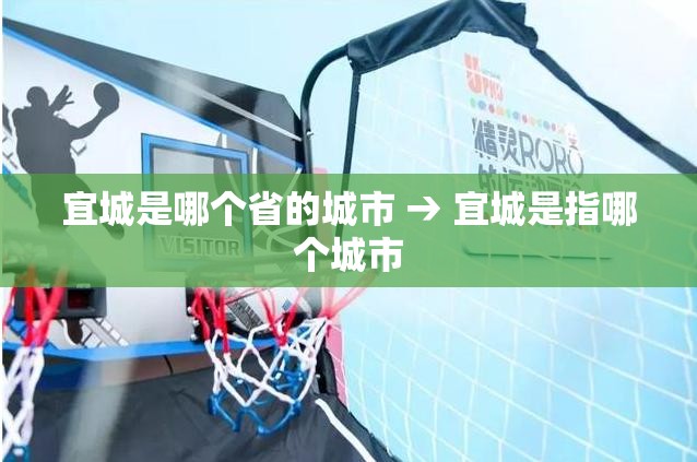 宜城是哪个省的城市 → 宜城是指哪个城市