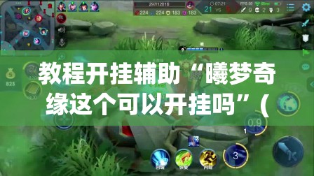 教程开挂辅助“曦梦奇缘这个可以开挂吗”(透视挂)辅助透视教程
