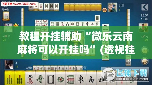 教程开挂辅助“微乐云南麻将可以开挂吗”(透视挂)辅助透视教程
