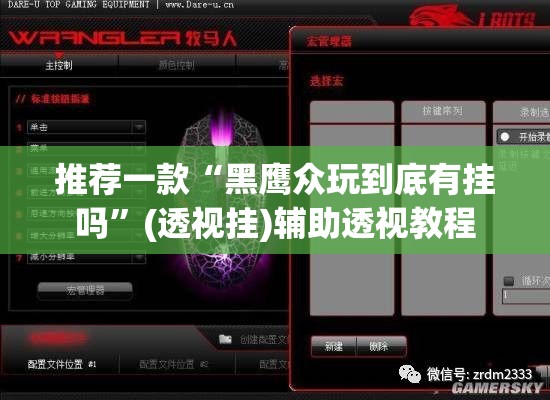 推荐一款“黑鹰众玩到底有挂吗”(透视挂)辅助透视教程