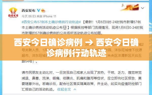 西安今日确诊病例 → 西安今日确诊病例行动轨迹