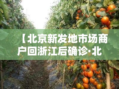 【北京新发地市场商户回浙江后确诊·北京新发地什么情况】